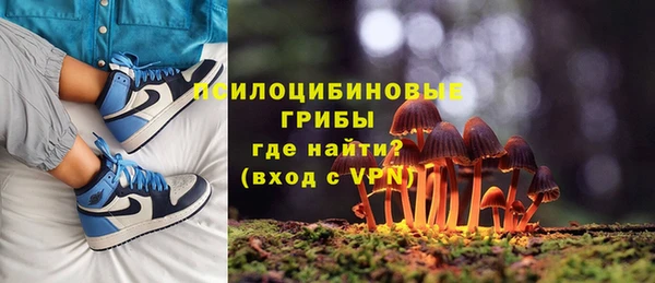 кокаин Богданович