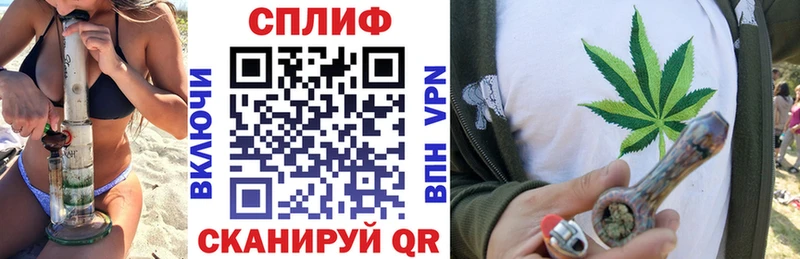 Каннабис сатива что такое наркотик Кинешма